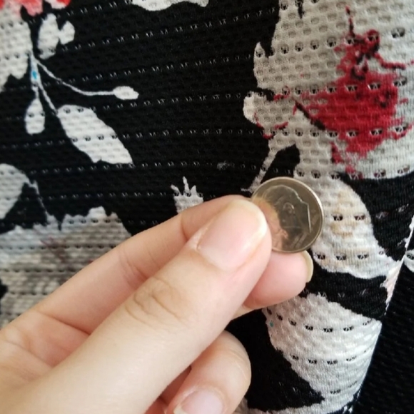 Express Dress - Picture 4 of 4